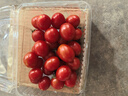 新鲜采摘圣女果樱桃小番茄蔬菜 带箱1斤精选果 实拍图