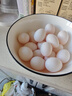 正宗农家散养新鲜散养鸽子蛋现捡现发孕妇宝宝辅食 农家谷饲鸽子蛋【30枚】 实拍图