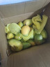 海南小台农芒果9斤新鲜现摘小台芒应当季时令热带水果整箱甜心芒 5斤净重4.5斤 【中果】实惠装 实拍图