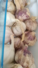【营田半亩】蒜干蒜头蒜大蒜紫白皮大蒜当季蔬菜0.5-5斤 1斤带箱重【果径4.5-5cm】大果 实拍图