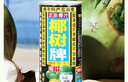 椰树牌正宗 椰子汁  245ml*24罐整箱装  植物蛋白饮料  实拍图