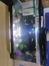 阔庭（KUOTING）鱼缸桌面透明生态鱼缸客厅水族箱黑色 实拍图