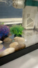 阔庭鱼缸懒人鱼缸家用客厅办公室金鱼缸过滤鱼缸黑色款 实拍图