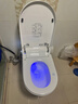 BLAUPUNKT蓝宝全智能马桶带水箱泡沫盾自动感应清洗加热烘干一体轻音冲家用 【送花洒+终身泡沫盾】全网热销 实拍图