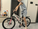 凤凰山地自行车男女变速山地车碟刹青少年儿童自行车学生单车 星际 粉白【变速+辐条轮】 22寸【适合130-170cm】 实拍图