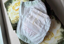 babycare金山茶花拉拉裤XXL30片(>15kg)婴儿尿不湿超薄透气新生柔花苞裤 实拍图