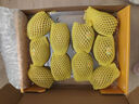 佳沛（zespri）新西兰  阳光金奇异果10粒礼盒巨大果单果约144-175g 水果 猕猴桃 实拍图