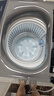 海尔（Haier）波轮洗衣机小型全自动8KG家用XQB80-Z10D0京东自营家电国家补贴以旧换新一级能效宿舍出租房单脱水 实拍图