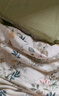 安睡宝（SOMERELLE）100%全棉床上四件套纯棉 床单款床上用品被套200*230cm1.5/1.8米 实拍图