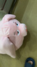 赟娅飞天猪毛绒公仔长条抱枕小猪布娃娃陪睡玩偶床上夹腿专用沙发靠枕 【圆眼80厘米】Q版 实拍图