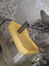 光多拉宠物猫咪饮水机流动水静音自动循环狗狗饮水器喂水器猫狗水碗黄色 实拍图