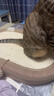 疯狂的主人剑麻猫抓板猫窝猫咪玩具猫爪板耐磨不掉屑耐抓麻绳一体猫咪用品 实拍图