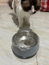 HELLOJOY不锈钢宠物食盆狗碗猫狗碗食盆水粮两用宠物碗喂食器 灰色 实拍图