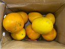 集南鲜 赣南脐橙 江西橙子新鲜现摘水果脐橙时令生鲜水果甜橙 水果礼盒 净重4.5斤 特级橙  单果200g+ 实拍图