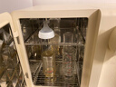 小熊（Bear）消毒泡奶一体机 消毒柜 恒温水壶 消毒烘干一体 喂养台12L+2L 实拍图