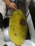 京鲜生 海南菠萝蜜整个 13-17斤 净重13斤生鲜水果 源头直发 实拍图