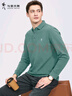 与狼共舞【高级感】长袖T恤男士2025秋季新款纯棉刺绣中青年POLO衫男6541 豆绿色206 L /175 实拍图