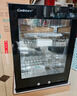 康宝（Canbo）消毒柜家用小型消毒碗柜高温立式迷你台式餐具碗筷收纳柜厨房消毒机【国家补贴】XDR53-TVC1 实拍图