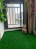 假草坪仿真人造草坪塑料绿色地毯天台阳台屋顶阳光房别墅庭院户外 2.5厘米加厚特密春草【1米宽】 1米长【人工裁剪】 实拍图