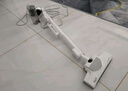 德尔玛（Deerma）DX700Pro滤芯套装版 推杆地毯式两用小型强力大功率吸尘器 大吸力宠物吸毛吸尘器DXBD11A 实拍图