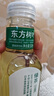 农夫山泉 东方树叶绿茶500ml*15瓶无糖茶饮料0糖0脂0卡整箱装解渴饮品 实拍图