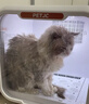 聚宠宠物猫咪烘干箱自动狗狗吹风机烘干家用洗澡拉毛吹毛机71升 智能生活APP版（AI管家7年保修） 实拍图
