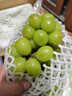 京鲜生 阳光玫瑰葡萄 青提6斤礼盒装 单果约10g 生鲜水果 新鲜水果 实拍图