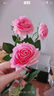 爱已装糖仿真花奶油风假花摆件手感保湿玫瑰花假绿植客厅装饰花 粉色5支 实拍图