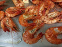 鲜京采 大号九节虾干 净重1斤（50-60只） 低温烘烤 即食 实拍图