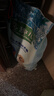 麦富迪狗粮 藻趣儿狗粮幼犬粮牛肉螺旋藻 呵护肠胃7.5kg/15斤 实拍图