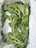 良知农哥【顺丰】山东冰草 新鲜冰菜沙拉蔬菜冰叶 健康轻食 5斤 实拍图