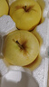 甜醉了 烟台苹果黄元帅粉面苹果黄金帅黄香蕉山东新鲜水果当季整箱鲜果 5斤75-80mm 实拍图