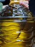 多力【保真菜籽油】芥花油5L 食用油非转基因高油酸 实拍图