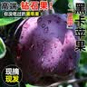 顺丰正宗黑卡苹果黑钻9斤纯甜孕妇新鲜水果黑平果蛇果冰糖心礼盒L 9斤【顺丰现摘】 大果【80-85mm】 实拍图