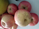 甜醉了 烟台苹果栖霞红富士新鲜水果生鲜山东特产脆甜整箱平果礼盒礼品 净重5斤75-80mm 实拍图