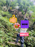 Keep髌骨带【对装】护膝夏季运动半月板跑步跳绳膝盖护具登山羽毛球 实拍图