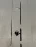 达亿瓦（DAIWA）路亚竿全套鱼竿MaRauder纺车轮碳素抛竿1.98m直柄+纺车轮+线饵 实拍图