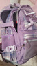 爱迪生发明家初中生书包黛露小学生大容量女生减负双肩背包 2260-2 紫色大号 实拍图