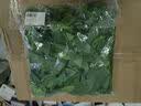 水木然仿真藤条精灵绿萝绿植藤蔓塑料管道吊顶装饰仿真植物绿叶5条装 实拍图