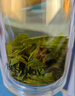 徽六绿茶六安瓜片茶叶200g 潜香500一级2025新茶雨前罐装口粮茶自己喝 实拍图