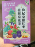 南同四海黑枸杞桂圆桑葚红枣茶包搭男肾滋补气血养生茶叶自饮泡水喝的冲饮 实拍图