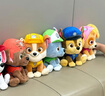 汪汪队立大功（PAW PATROL）狗狗巡逻队毛绒玩具男女孩可爱小狗玩偶公仔儿童节礼品生日礼物 汪汪队毛绒-15-18cm小号阿奇 cm 实拍图