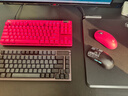 罗技快敌一步职业套装 GPW3无线游戏鼠标+ PROXTKLRAPID RT快银磁轴电竞键盘瓦罗兰特 粉色 实拍图