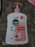 滴露（Dettol）洗手液滋润500g*6 抑菌洗手液家庭装大桶儿童消毒无酒精温和护手 实拍图