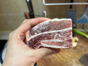 春禾秋牧 进口安格斯原切牛肋排2.5斤 四肋排 炖煮火锅生鲜牛肉 实拍图