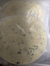 俏侬 手抓饼香葱味 2000g20片 烘焙食材 葱油饼 学生早餐健康 实拍图