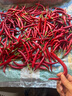 囧仙子新鲜红辣椒二荆条红海椒应季美人椒泡椒菜椒剁椒线椒 红二荆条5斤精选 实拍图