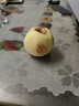 同甘园 正宗天然冰糖心苹果富士 脆甜新鲜山西时令应季丑苹果 节日送礼 净4.5斤单果130-150g商超品质 实拍图