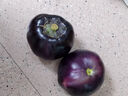 山东圆茄子现摘现发当季新鲜紫色茄子时令新鲜蔬菜生鲜烧烤食材 山东圆茄 1斤 实拍图
