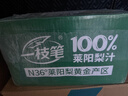 一枝笔100%莱阳梨汁饮料460ml*15瓶装  0脂梨汁果汁饮品聚会饮料 实拍图